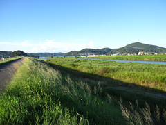 オムロン岡山 東の河川敷 オムロン岡山 東の河川敷