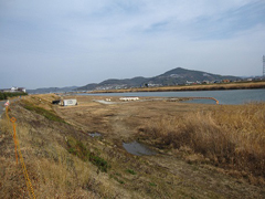 草が刈り取られた河川敷 草が刈り取られた河川敷