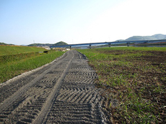 河川敷内に設けられた仮設道路 河川敷内に設けられた仮設道路