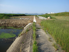 海吉橋南 低水護岸の様子 海吉橋南 低水護岸の様子