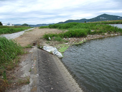オムロン岡山の東 低水護岸の様子 オムロン岡山の東 低水護岸の様子