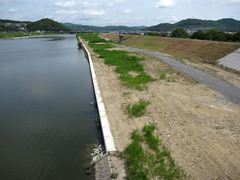 海吉橋上流部河川敷の様子 海吉橋上流部河川敷の様子