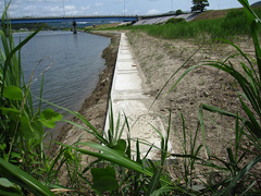 海吉橋下流部の低水護岸南端 海吉橋下流部の低水護岸南端