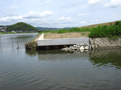 中川排水樋管の放水路護岸 中川排水樋管の放水路護岸
