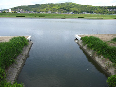 中川排水樋管の放水路護岸 中川排水樋管の放水路護岸