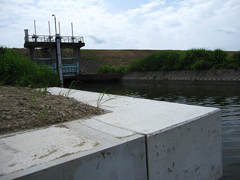 中川排水樋管と放水路護岸 中川排水樋管と放水路護岸