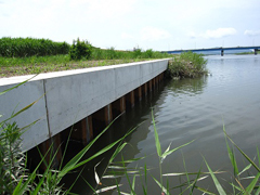 鋼矢板と笠コンクリートの低水護岸 鋼矢板と笠コンクリートの低水護岸