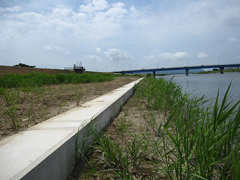 海吉橋上流部の低水護岸 海吉橋上流部の低水護岸