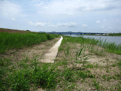 低水護岸の北端から海吉橋を望む 低水護岸の北端から海吉橋を望む