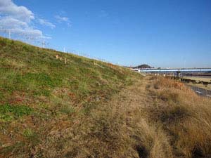 工事前のオムロン東側法面 工事前のオムロン東側法面