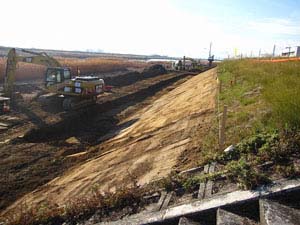 海吉橋南の削り取られた法面 海吉橋南の削り取られた法面