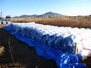 工事現場に置かれた遮水シート 工事現場に置かれた遮水シート