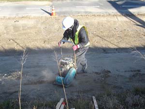 プレートで覆った土を固める プレートで覆った土を固める