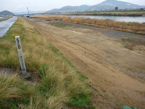 オムロン東の法面を南から写す オムロン東の法面を南から写す