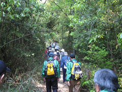 木立の中を金蔵山古墳を目指す 木立の中を金蔵山古墳を目指す