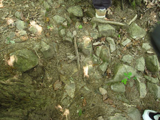 葺石の様子 葺石の様子