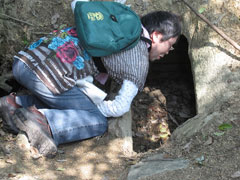 石室の中を覗き込む参加者 石室の中を覗き込む参加者