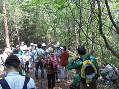 「造り出し」部分で説明を聞く参加者 「造り出し」部分で説明を聞く参加者