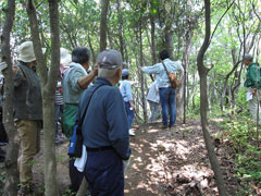 「造り出し」北側の様子 「造り出し」北側の様子