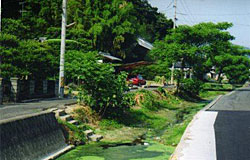 護岸改修前 護岸改修前