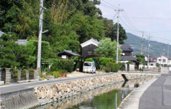 護岸改修後 護岸改修後