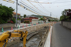 6月になると、埋め立て土は撤去され 6月になると、埋め立て土は撤去され