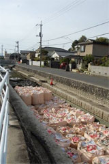 新世紀橋付近 も新世紀橋付近