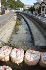 要所をせき止めて足場を作ります 要所をせき止めて足場を作ります