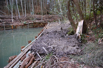 揚げた泥をならした様子 揚げた泥をならした様子