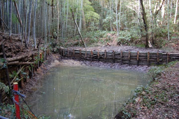 自然に流れ込んだ水が溜まっていく様子 自然に流れ込んだ水が溜まっていく様子