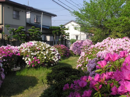 福泊サニー第3遊園地(2) 福泊サニー第3遊園地(2)