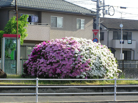 福泊サニー団地第5遊園地 福泊サニー団地第5遊園地