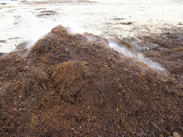 積み上げられた堆肥 積み上げられた堆肥