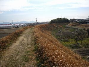 旧堤防の北側から南方向を望む(西側斜面) 旧堤防の北側から南方向を望む(西側斜面)