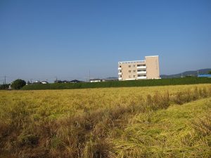 東側から旧堤防を望む(右側の建物が富山荘) 東側から旧堤防を望む(右側の建物が富山荘)