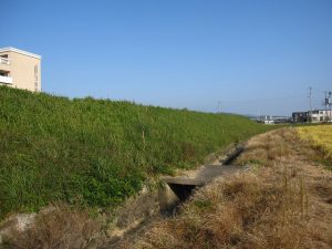 堤防の南東から堤防を望む 堤防の南東から堤防を望む
