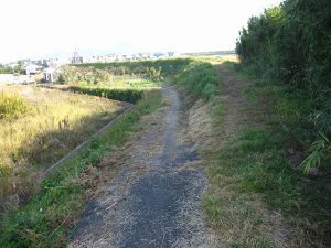 旧堤防の南側で堤防上の道路と西側の道路が交差する 旧堤防の南側で堤防上の道路と西側の道路が交差する