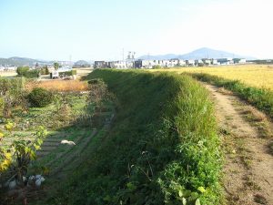 旧堤防の南から北方向を望む 旧堤防の南から北方向を望む